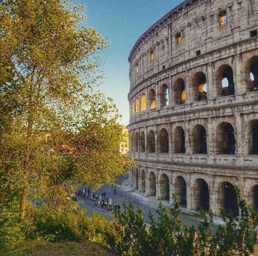 Lugar Coliseo de Roma