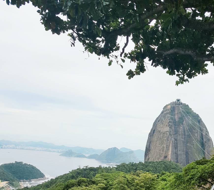 Place Pão de Açucar