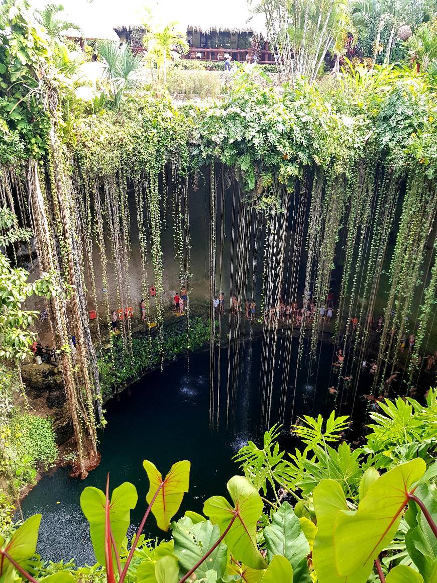 Lugar Cenote Ik-Kil