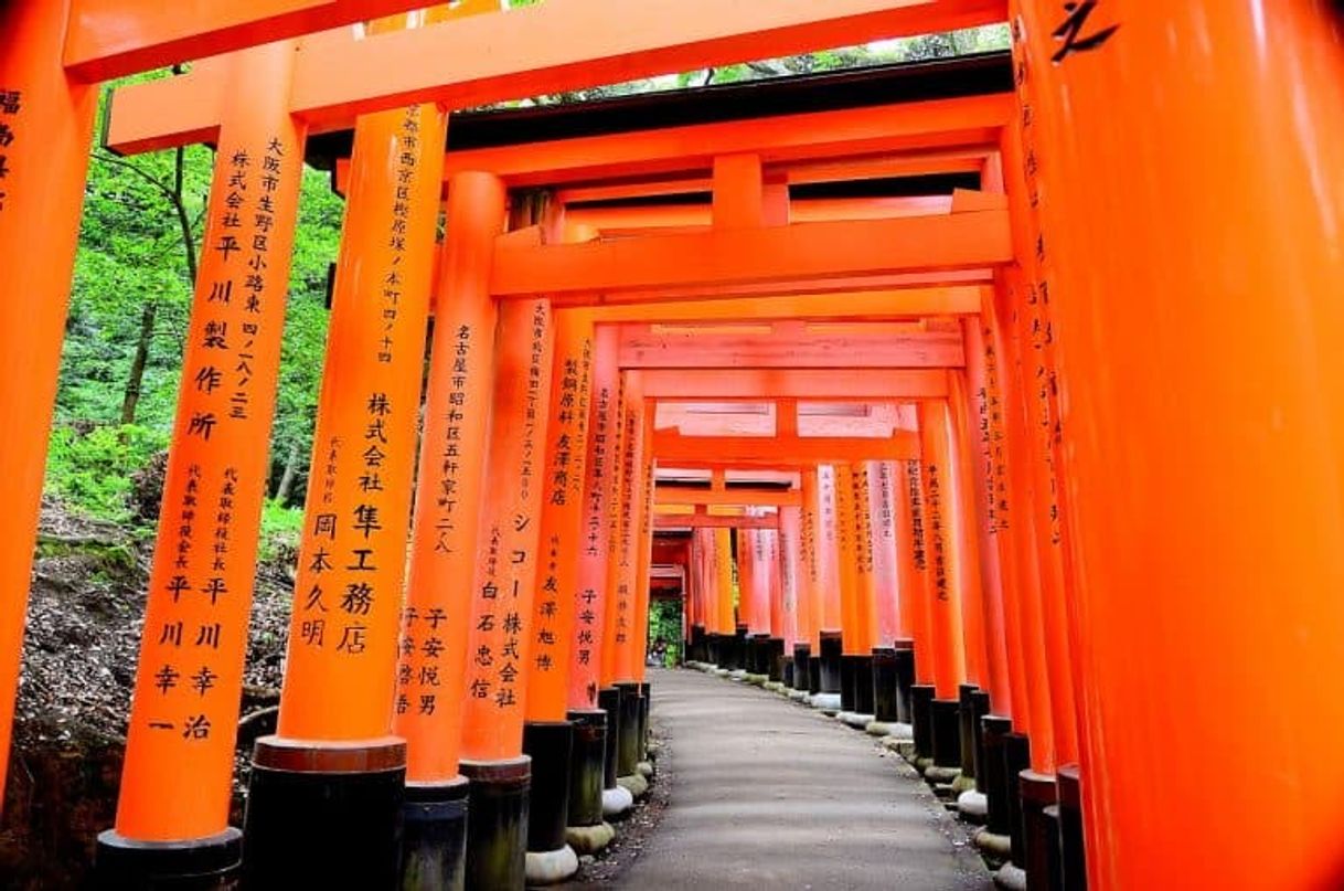 Fashion Santuário Fushimi Inari