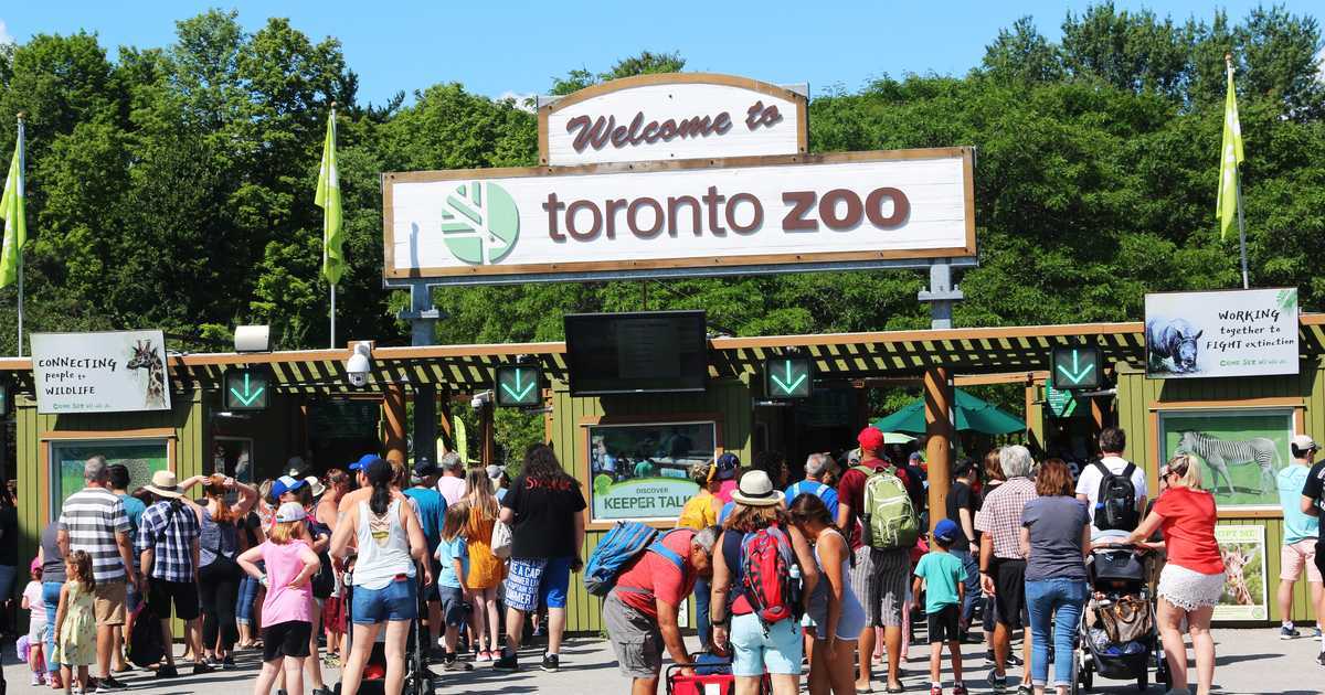 Lugar Zoológico de Toronto