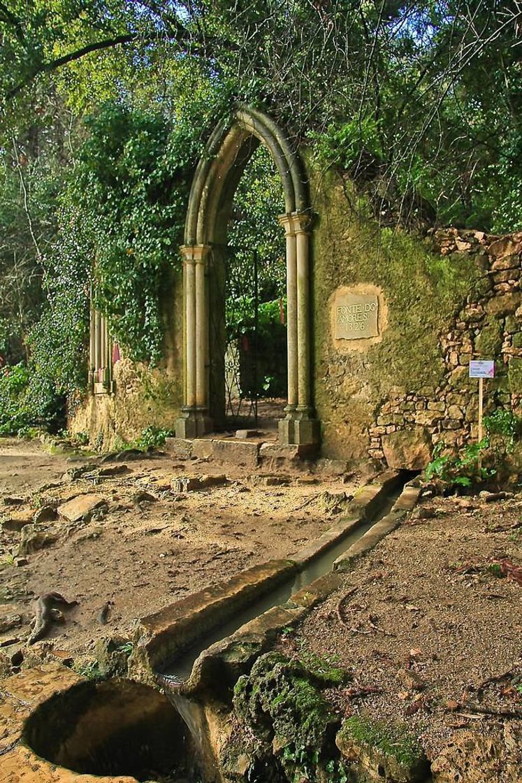 Lugar Quinta das Lágrimas 