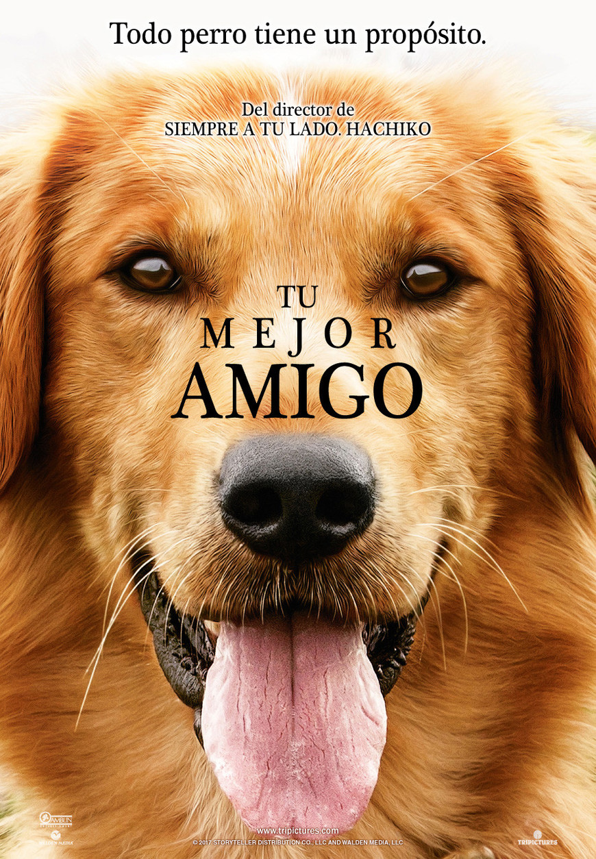 Película Tu mejor amigo