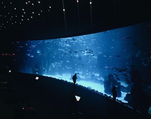 Poema del Mar Aquarium