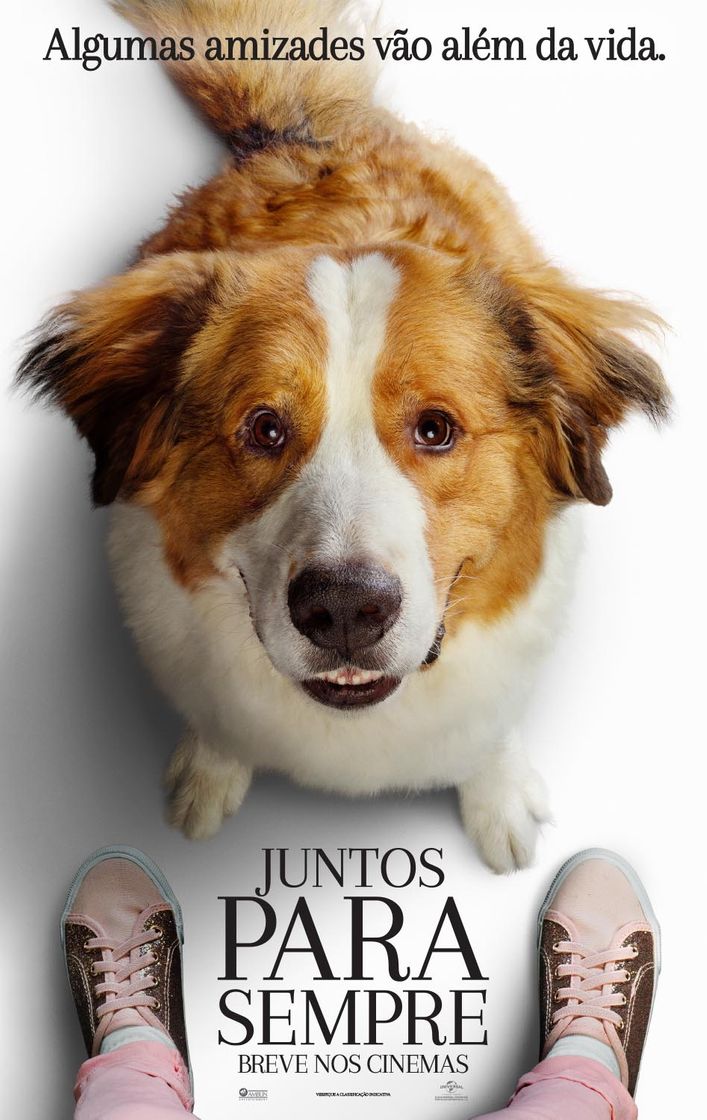 Película Tu mejor amigo