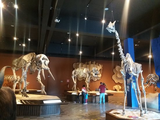 Lugar Museum of Natural Sciences