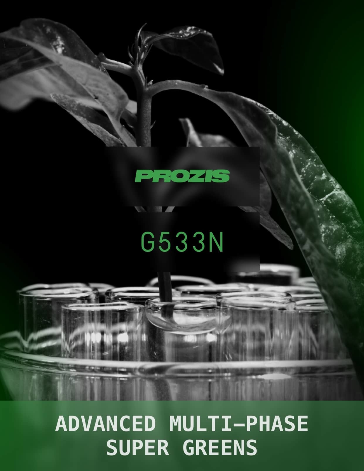 Producto Phasertech G533N