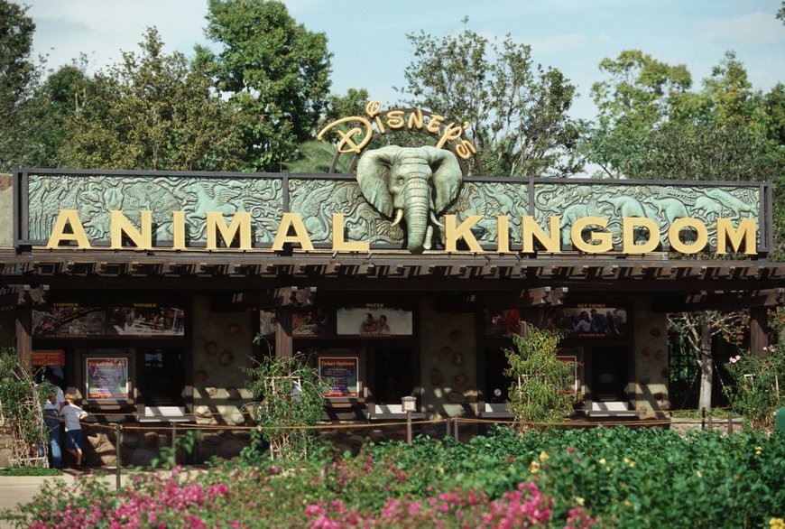 Place Animal Kingdom