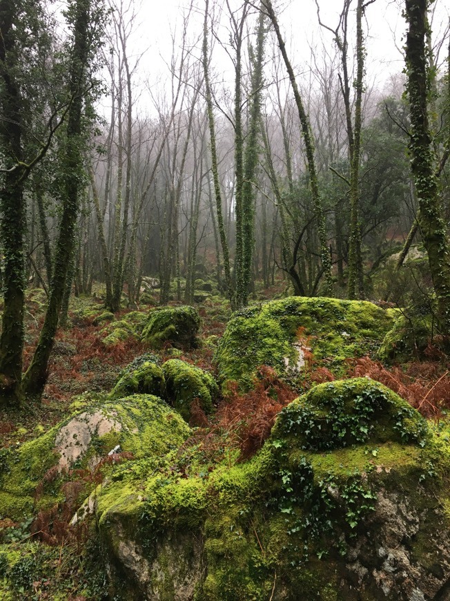 Place Gerês