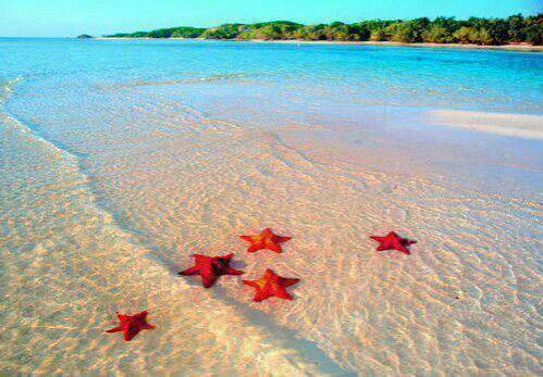 Place Ilha Paraíso, Bahamas