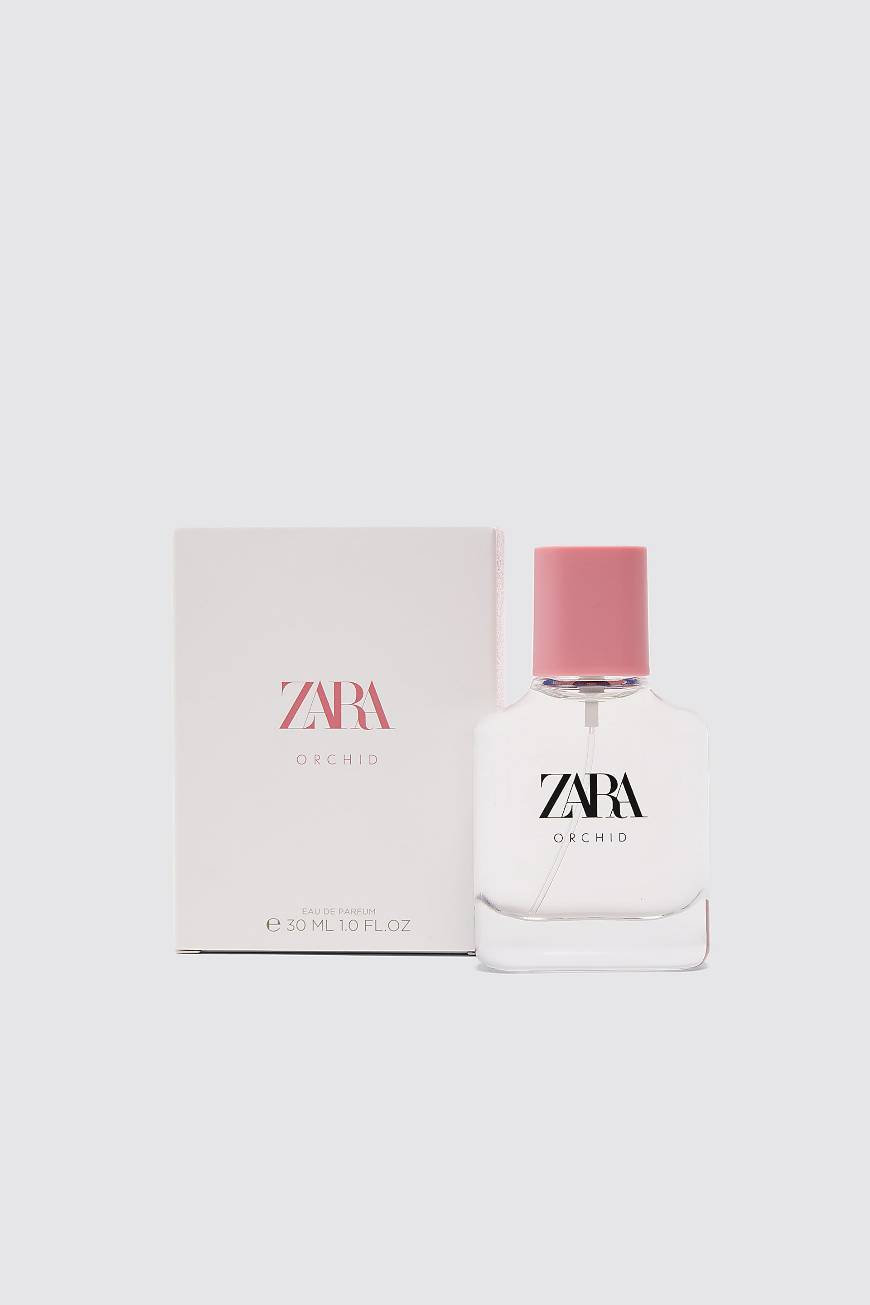 Social Zara orchid 