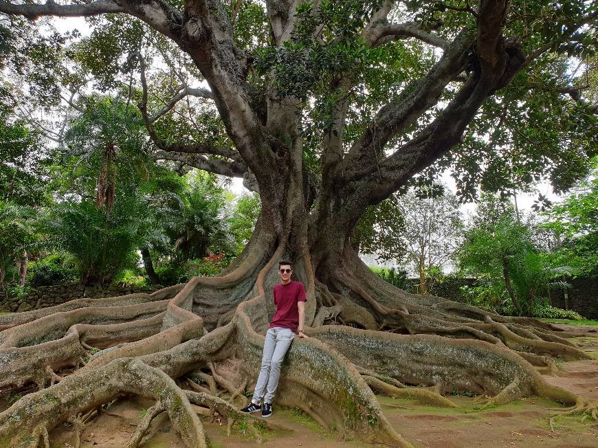 Lugar Jardim António Borges