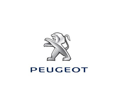 Social PEUGEOT 