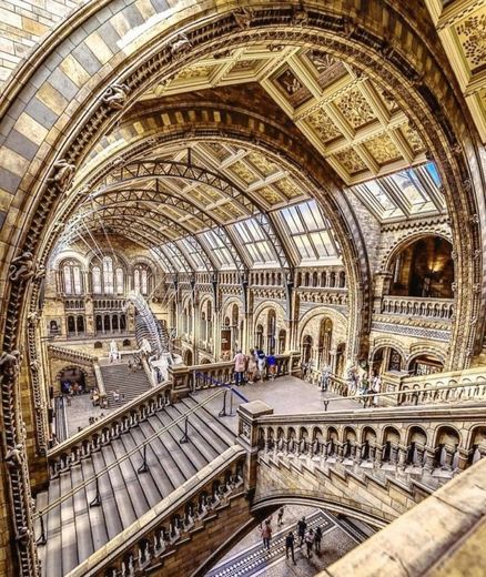 Museu de História Natural de Londres