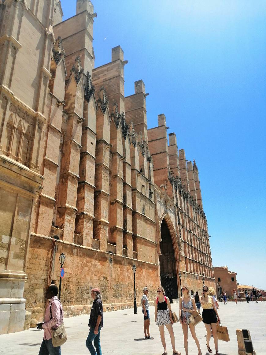 Lugar Catedral-Basílica de Santa María de Mallorca