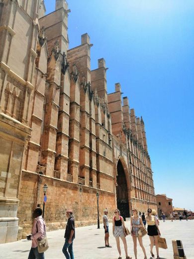 Catedral-Basílica de Santa María de Mallorca