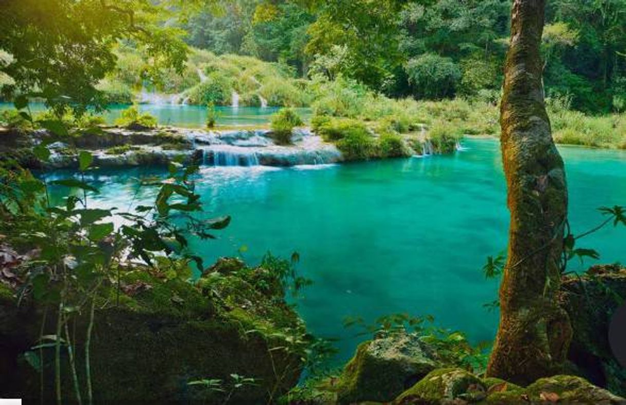 Lugar Semuc Champey