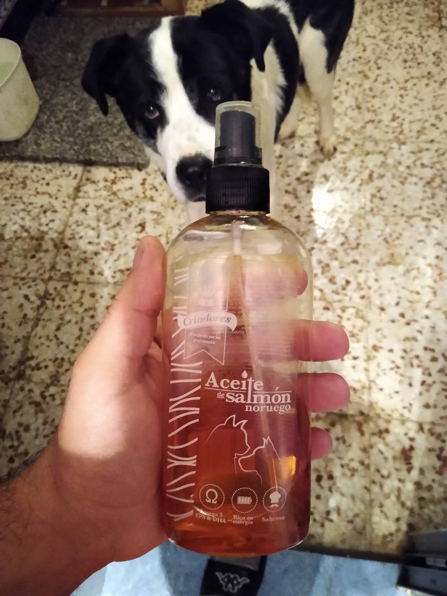 Aceite de pescado para perros ¿Es bueno?
