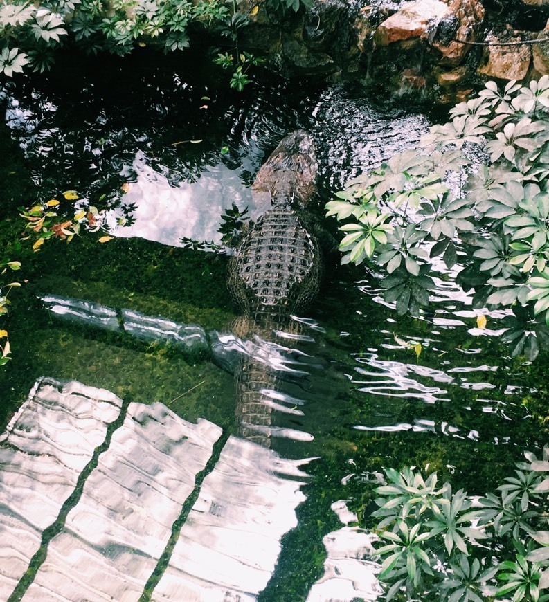 Place Jardim Zoológico de Lisboa
