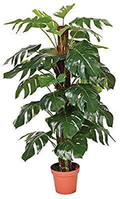 Fashion Catral 74010020 Monstera planta artificial, 22.0x22.0x145.0 