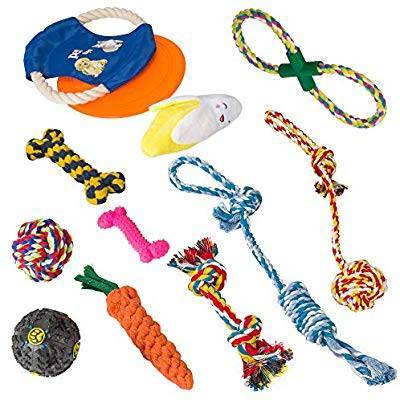 Moda Conjunto de brinquedos para cães, Corda de mascar, Frisbee, 