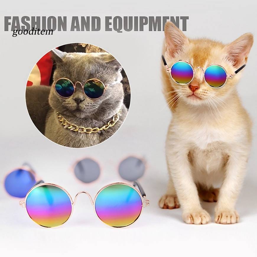 Fashion 𝚏𝚘𝚛 𝚊𝚗𝚒𝚖𝚊𝚕𝚜