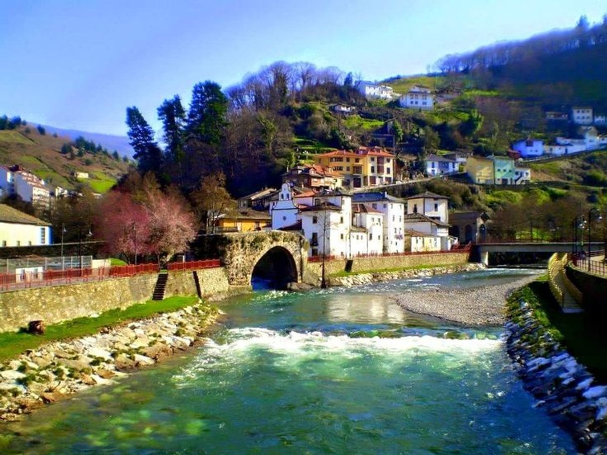 Place Cangas del Narcea