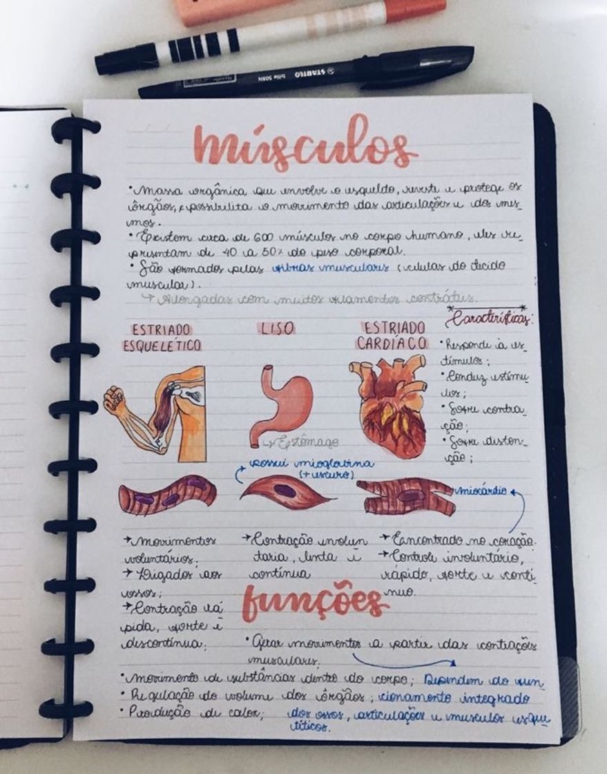 Social Músculos 