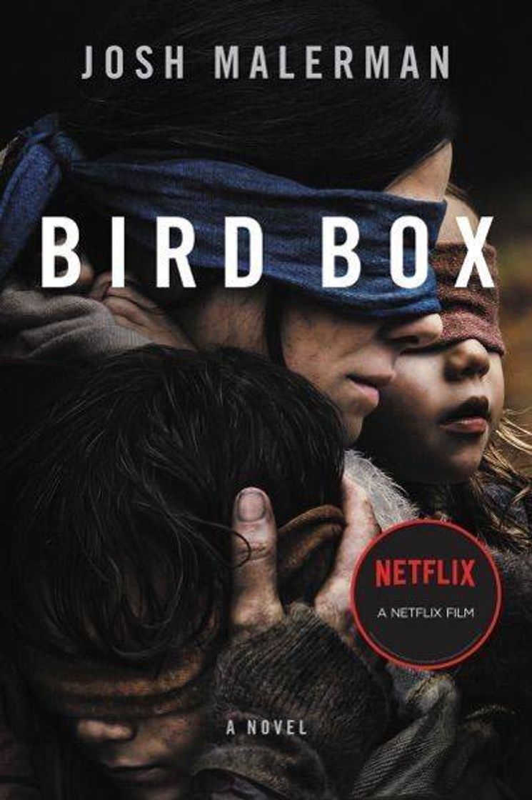 Fashion Bird box