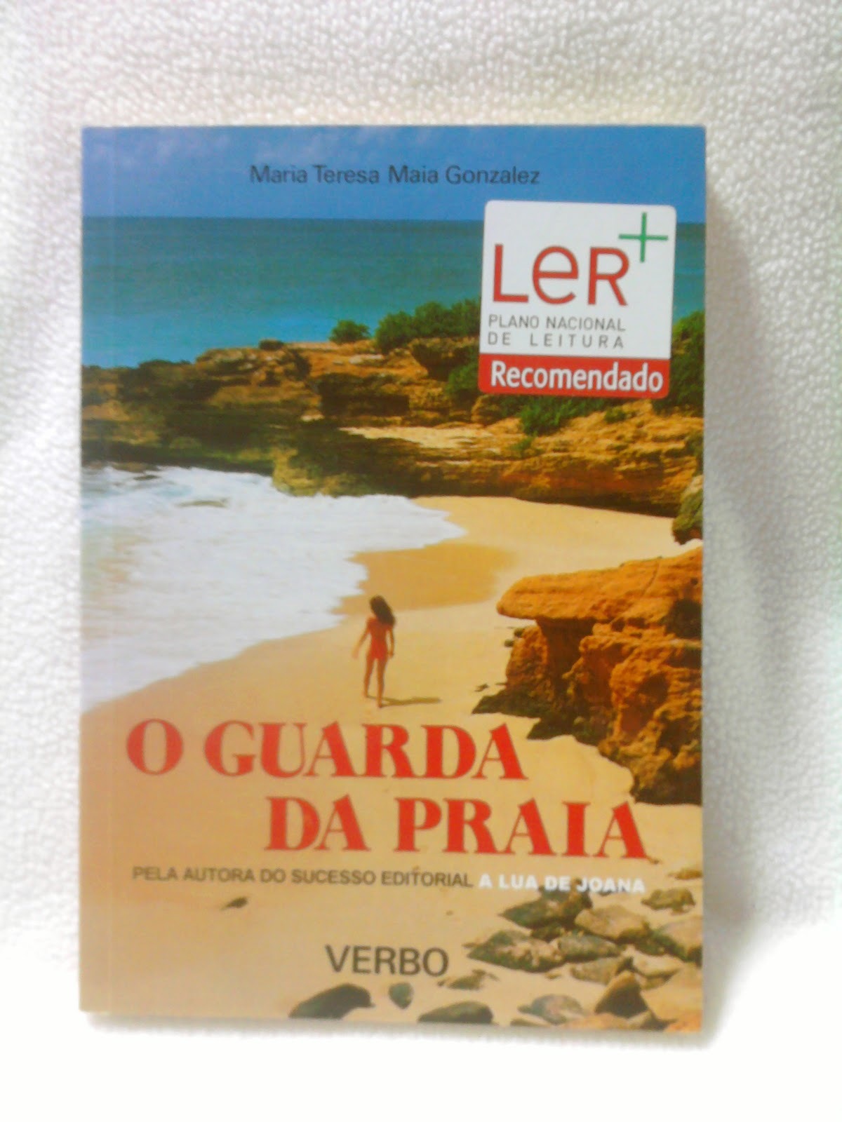 Book O Guarda da Praia