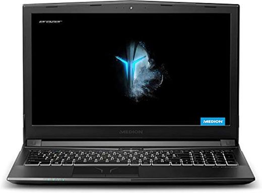 Medion ERAZER P6605 - Portátil gaming 15.6" FullHD (Intel Core i5-8300H, 8GB