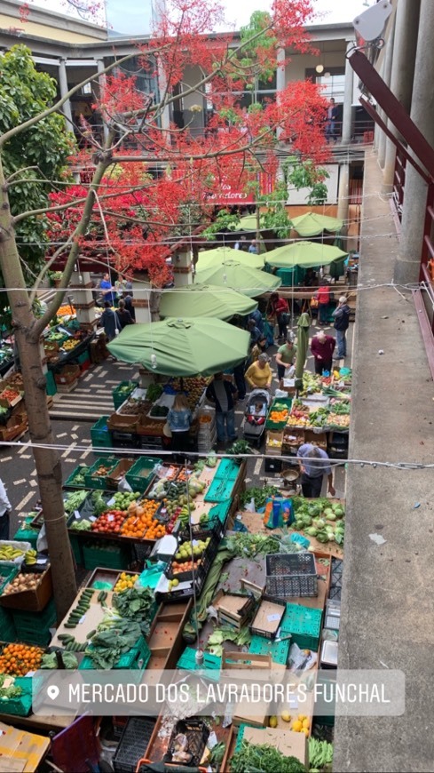 Place Mercado dos Lavradores