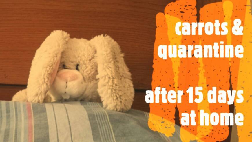 stop motion - carrots & quarantine 
