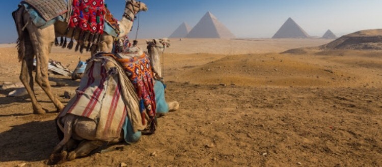 Social Egipto 