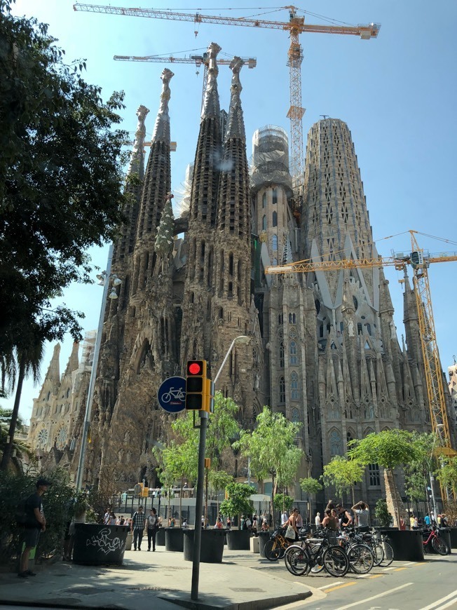 Lugar Basílica Sagrada Familia