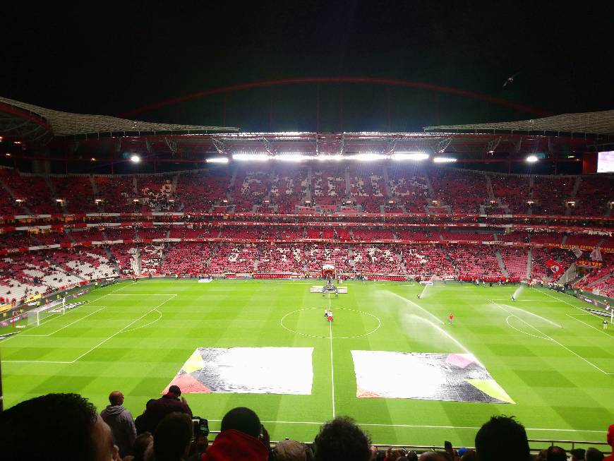 Place Estádio Sport Lisboa e Benfica