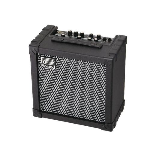 Roland Cube 20x