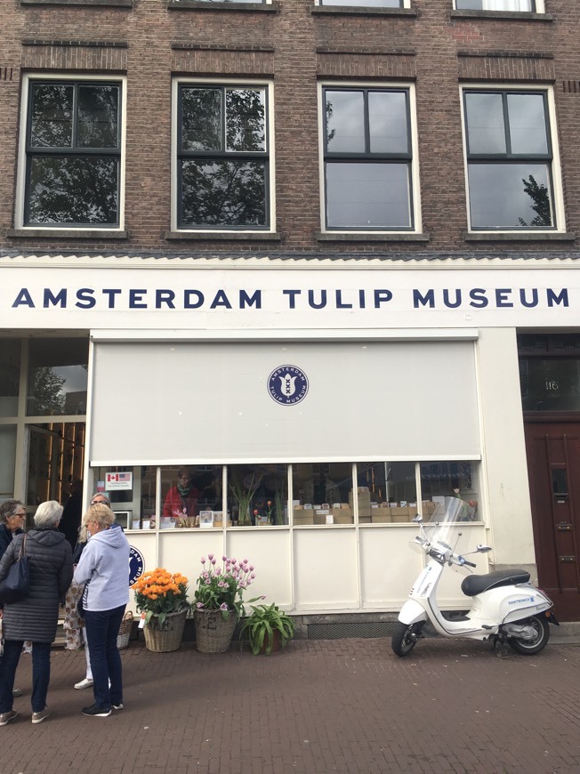 Place Amsterdam Tulip Museum