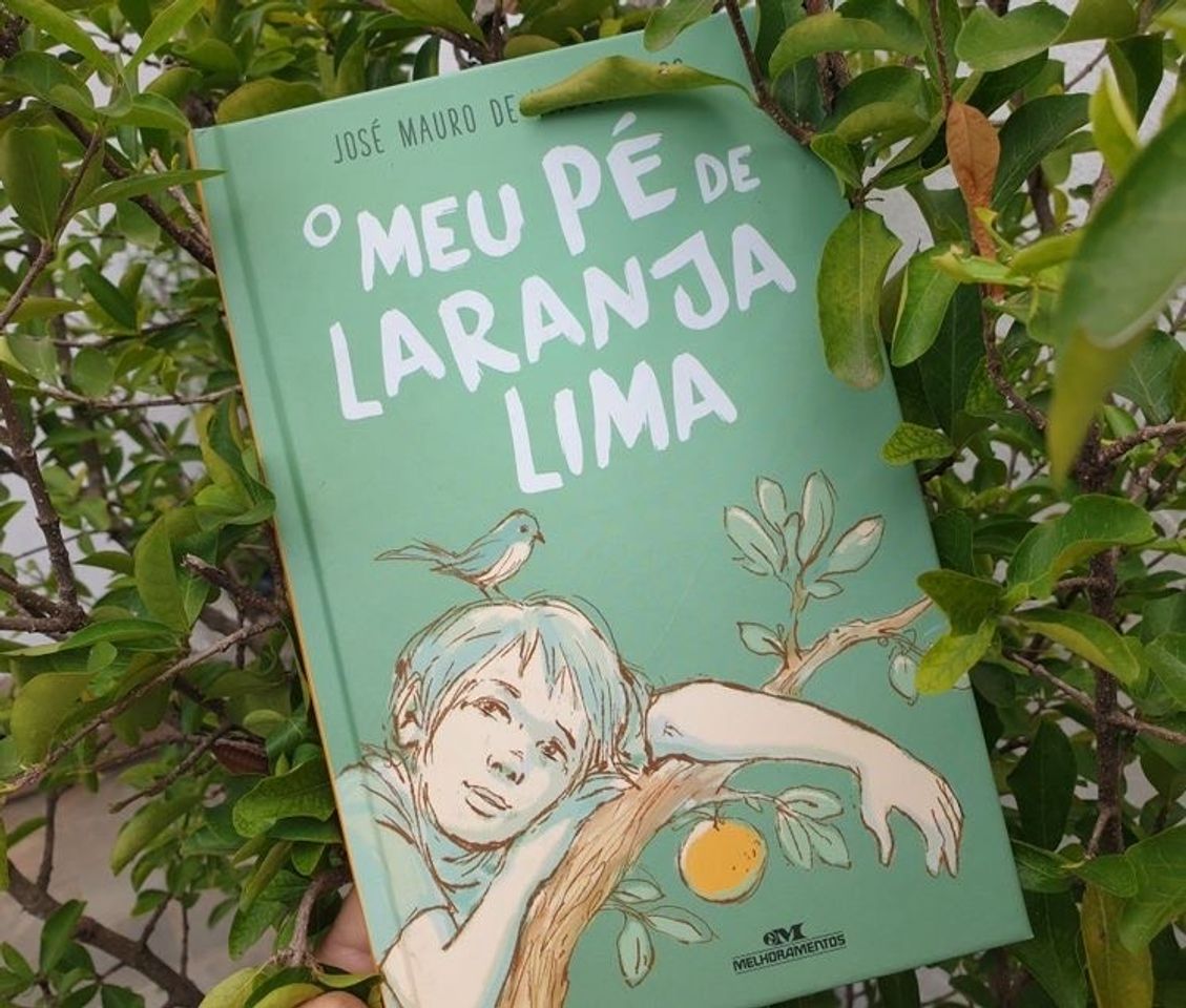 Books O meu pé de laranja lima