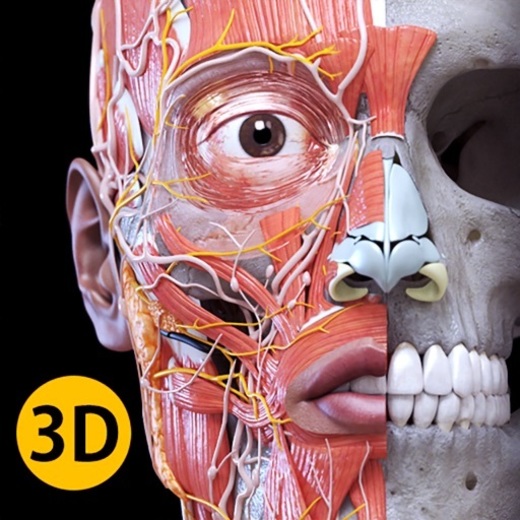 Anatomía - Atlas 3D