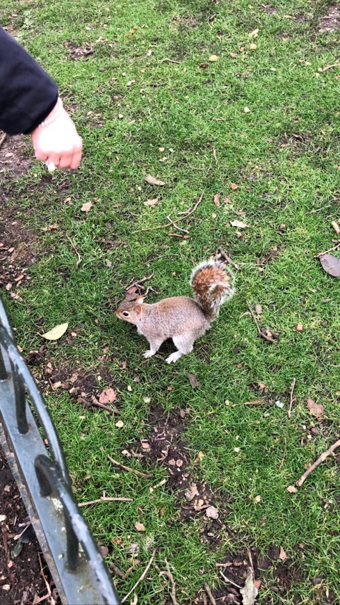 Place Hyde Park