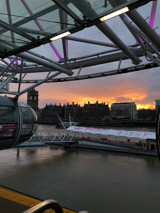 Place London Eye