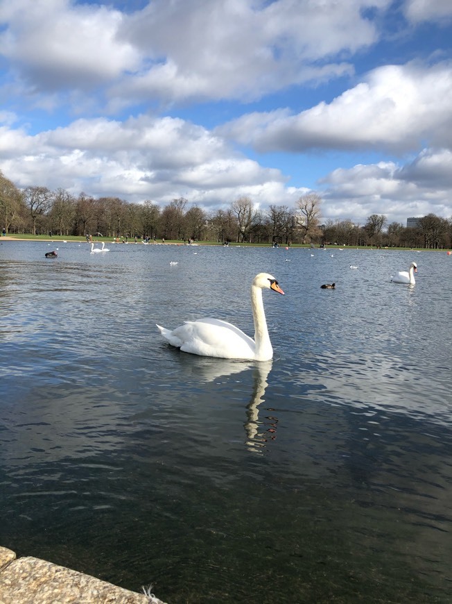 Place Kensington Palace Gardens