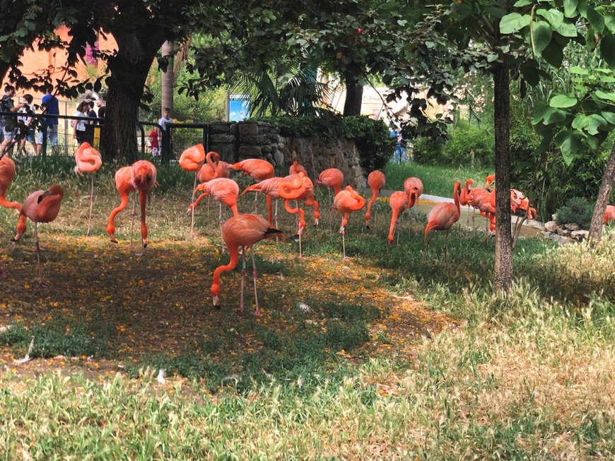 Place Jardim Zoológico de Lisboa