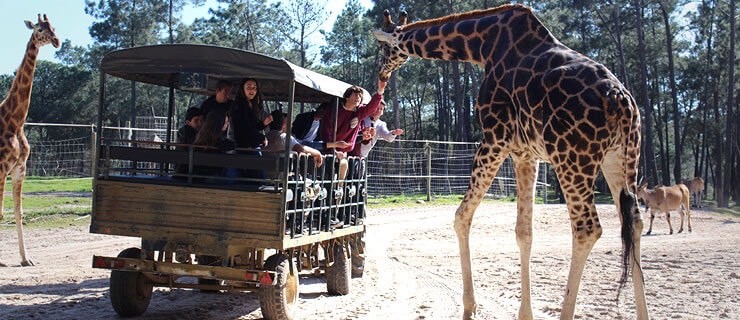 Place Badoca Safari Park