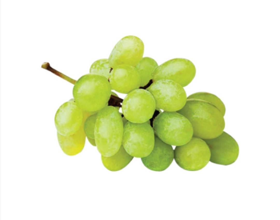 Moda Uvas