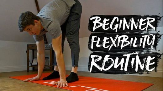 15 Minute Beginner Flexibility Routine! (Follow Along)