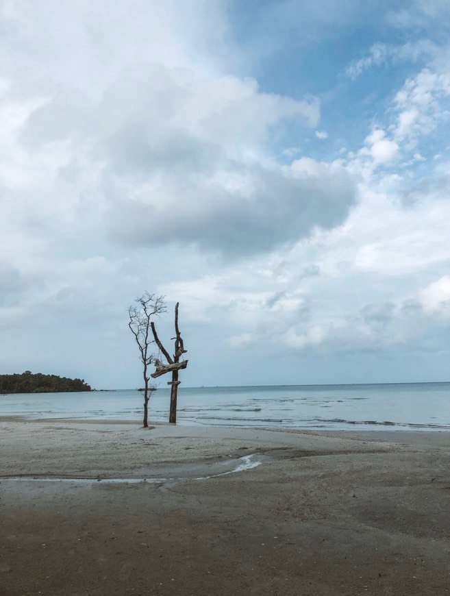 Place Koh Rong