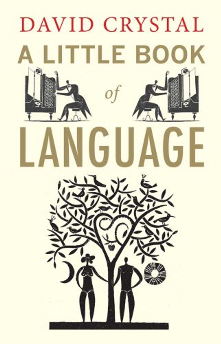 Libro A Little Book of Language