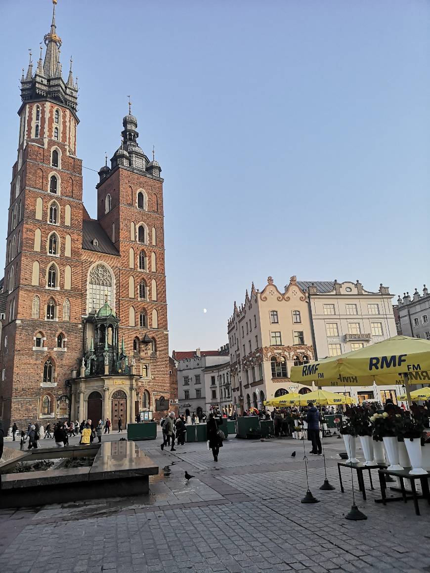 Lugar Basílica de Santa María